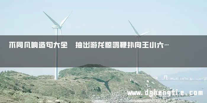不同凡响造句大全 抽出游龙惊鸿鞭扑向王小六…